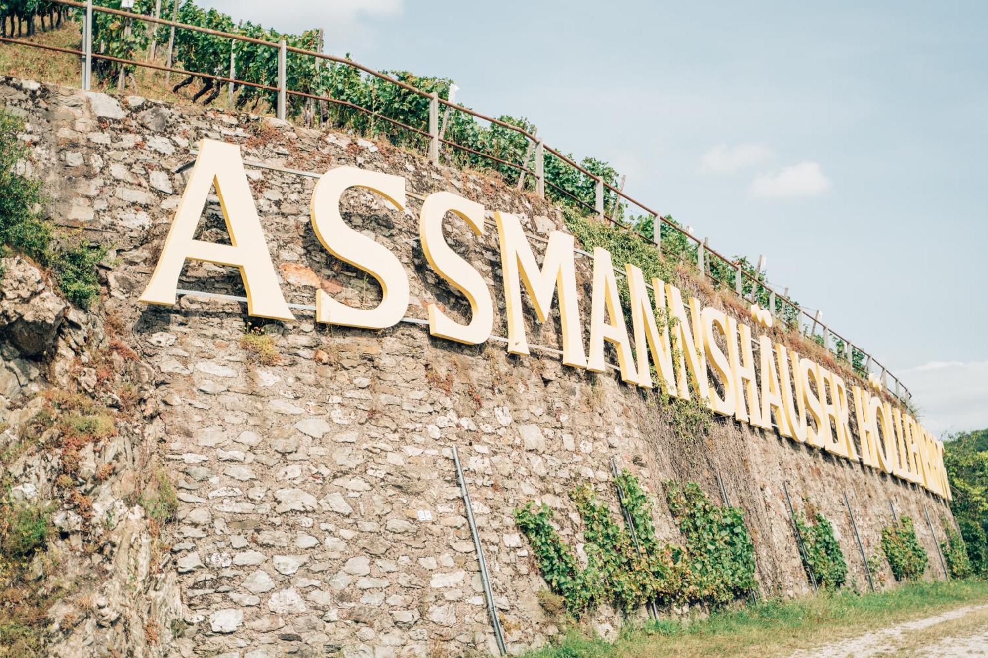 Akzent Hotel Berg'S Alte Bauernschaenke- Wellness Und Wein Rüdesheim am Rhein Exteriör bild