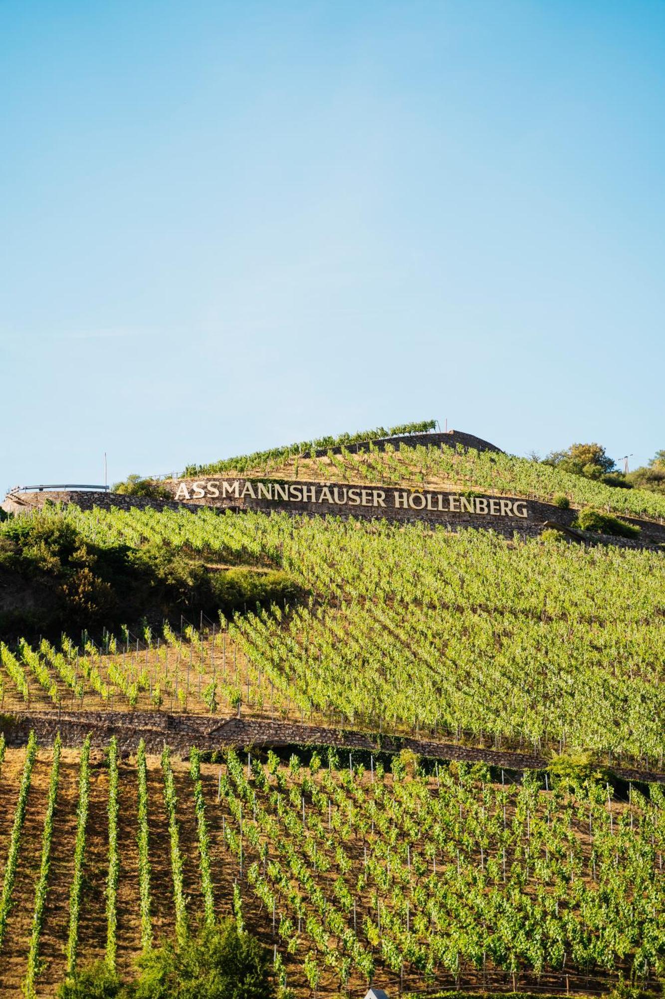 Akzent Hotel Berg'S Alte Bauernschaenke- Wellness Und Wein Rüdesheim am Rhein Exteriör bild