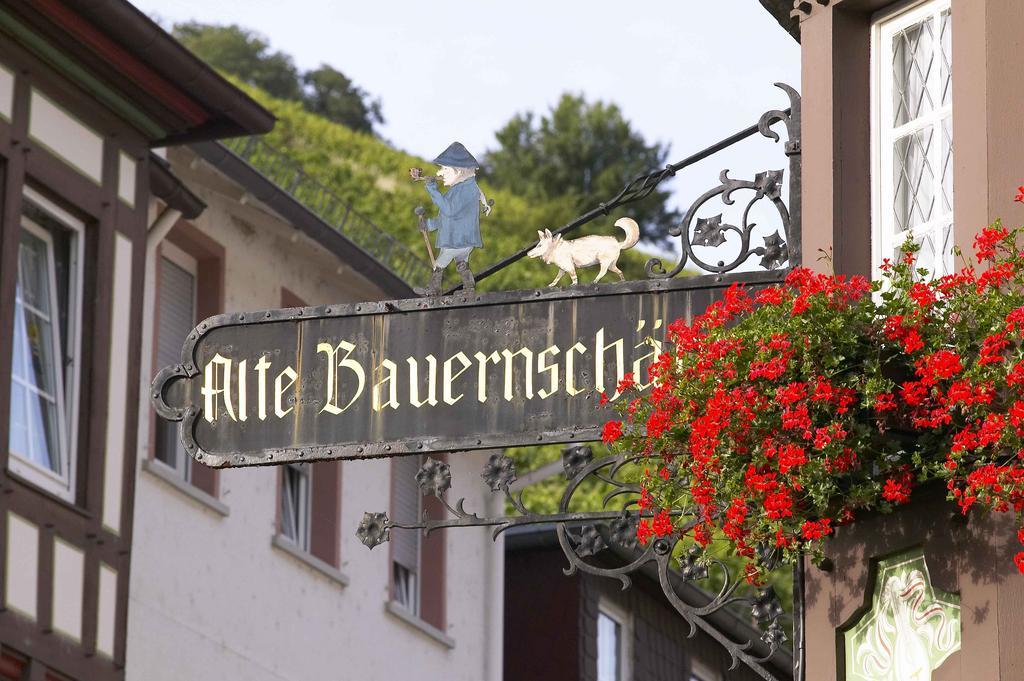 Akzent Hotel Berg'S Alte Bauernschaenke- Wellness Und Wein Rüdesheim am Rhein Exteriör bild